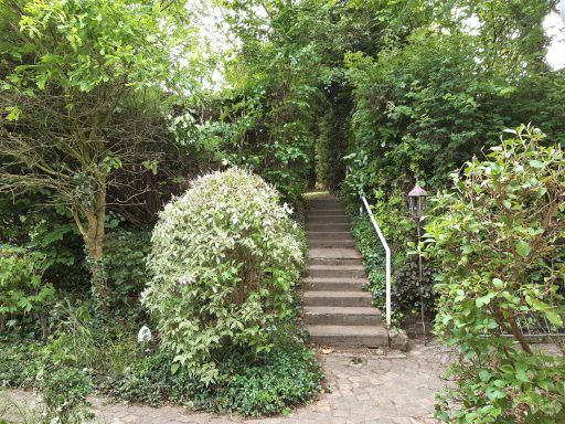 Außenbereich Treppe zum Rasen